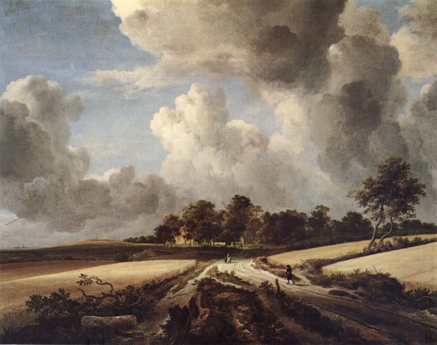 RUISDAEL, Jacob Isaackszon van Wheatfields